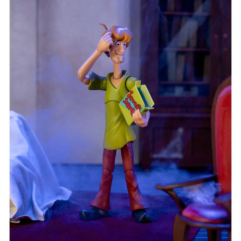 Load image into Gallery viewer, Jada Toys - Scooby-Doo! - Shaggy 1/12 Scale
