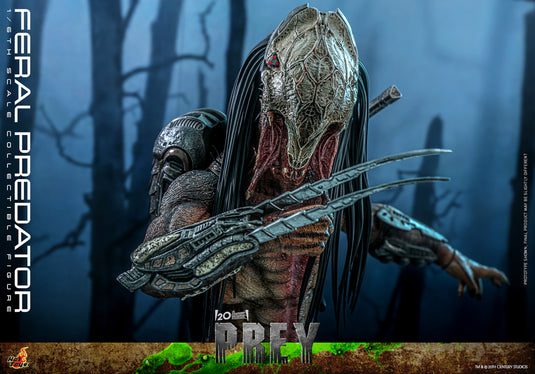 Hot Toys - Prey - Feral Predator