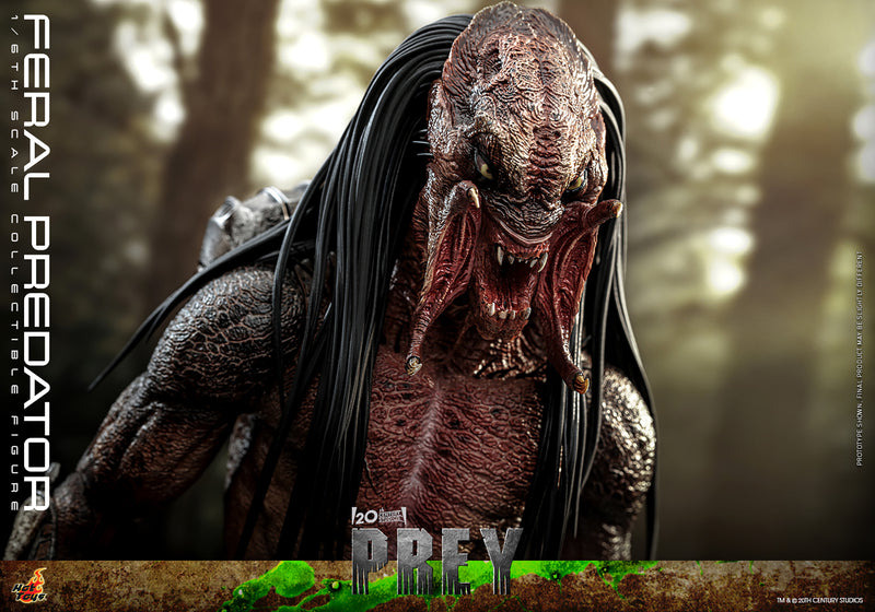 Load image into Gallery viewer, Hot Toys - Prey - Feral Predator
