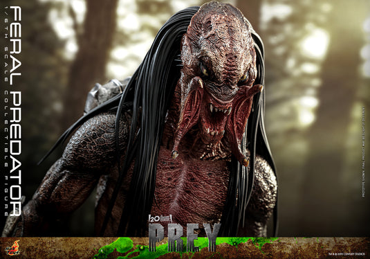 Hot Toys - Prey - Feral Predator