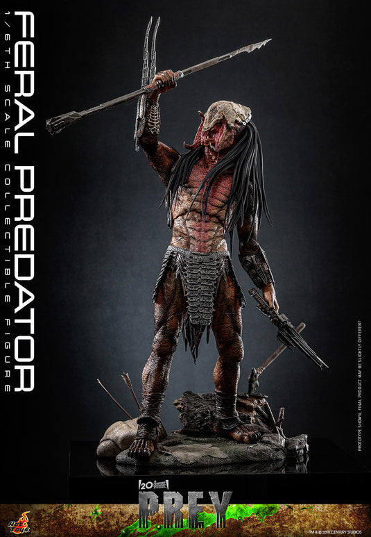 Hot Toys - Prey - Feral Predator