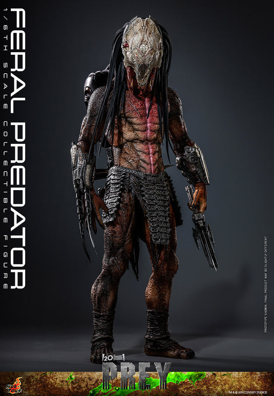 Hot Toys - Prey - Feral Predator