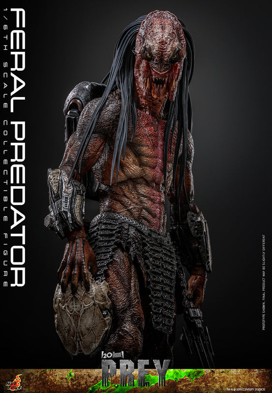 Hot Toys - Prey - Feral Predator