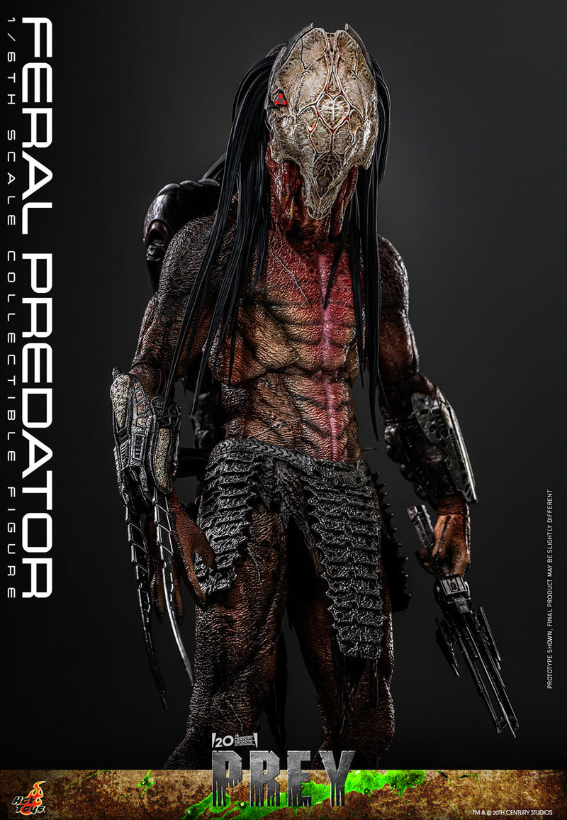 Load image into Gallery viewer, Hot Toys - Prey - Feral Predator
