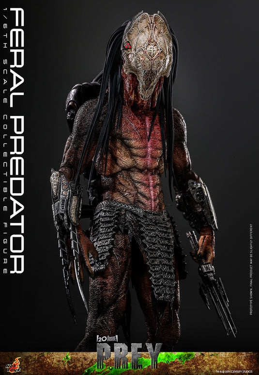 Hot Toys - Prey - Feral Predator