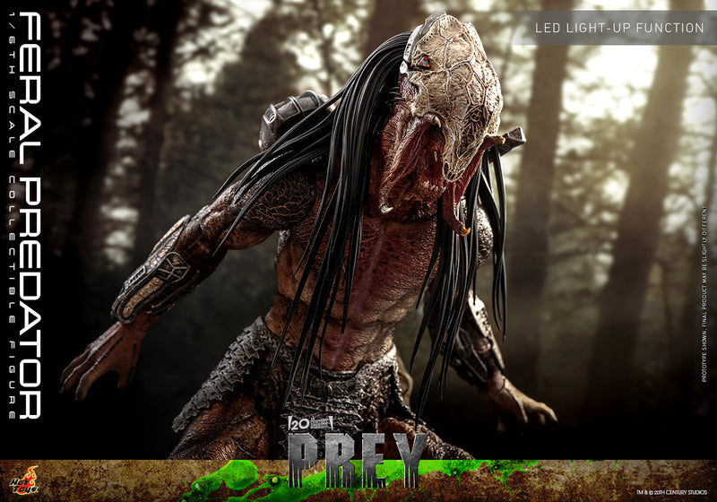 Load image into Gallery viewer, Hot Toys - Prey - Feral Predator
