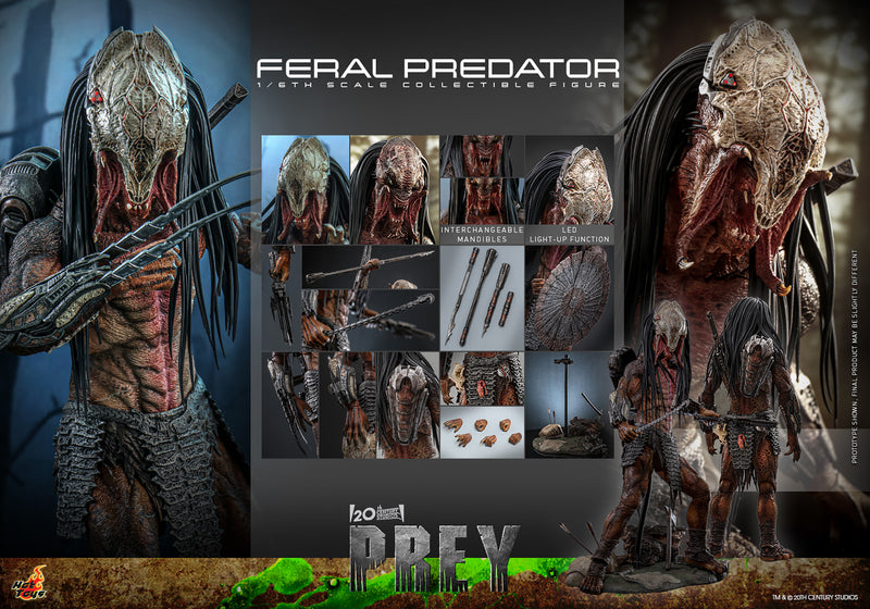 Load image into Gallery viewer, Hot Toys - Prey - Feral Predator
