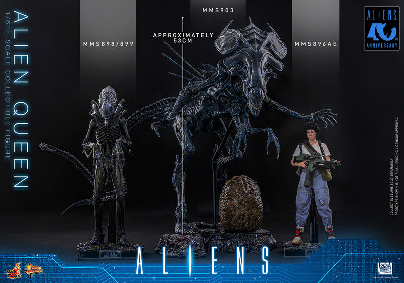 Load image into Gallery viewer, Hot Toys - Aliens (1986) - Alien Queen (MMS903)
