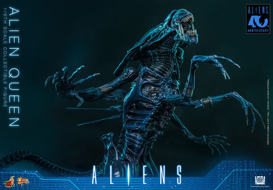 Hot Toys - Aliens (1986) - Alien Queen (MMS903)