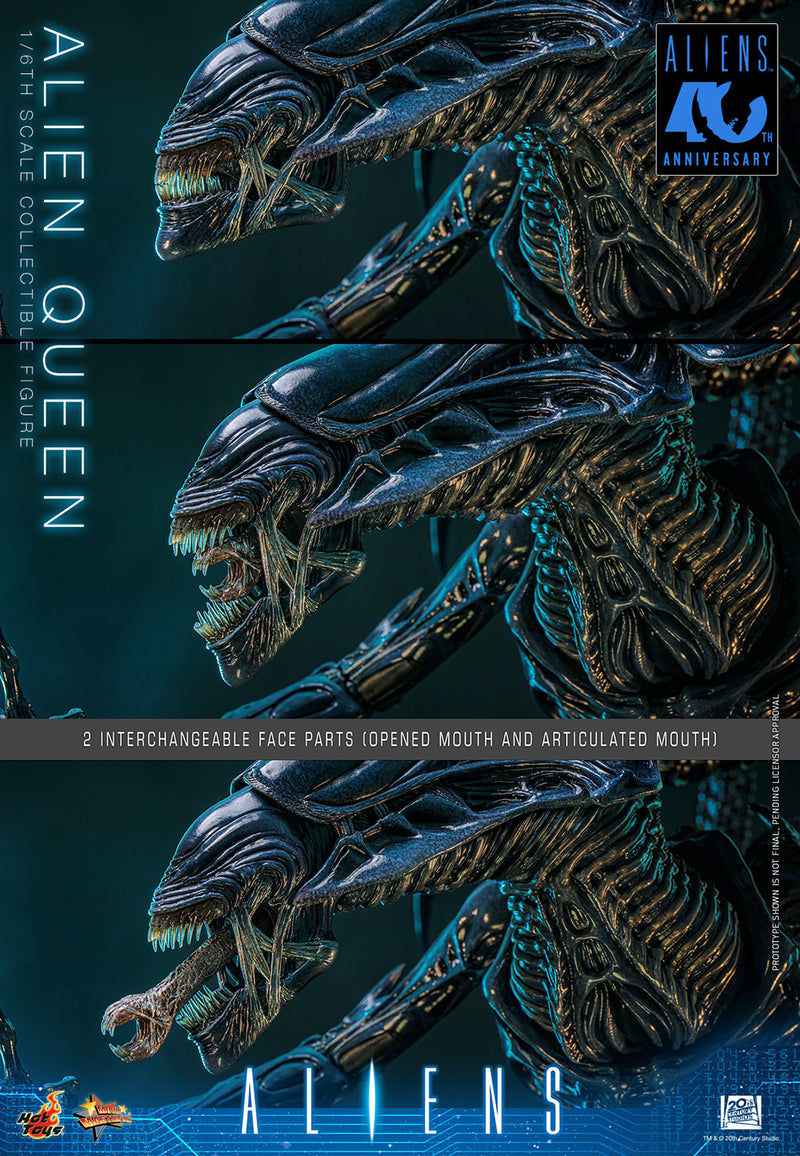 Load image into Gallery viewer, Hot Toys - Aliens (1986) - Alien Queen (MMS903)
