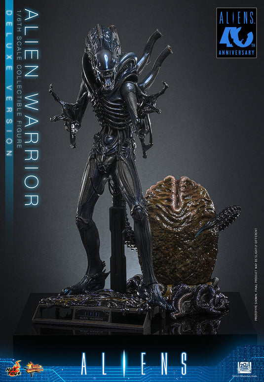 Hot Toys - Aliens (1996) - Alien Warrior (Deluxe Version) (MMS899)