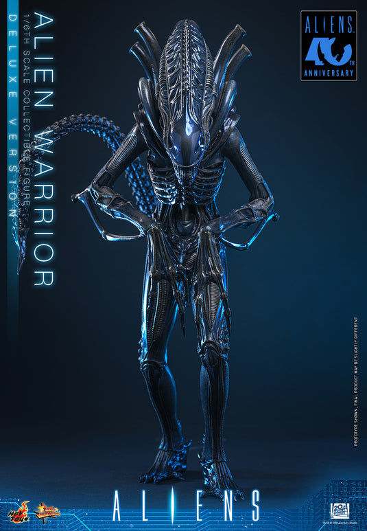 Hot Toys - Aliens (1996) - Alien Warrior (Deluxe Version) (MMS899)