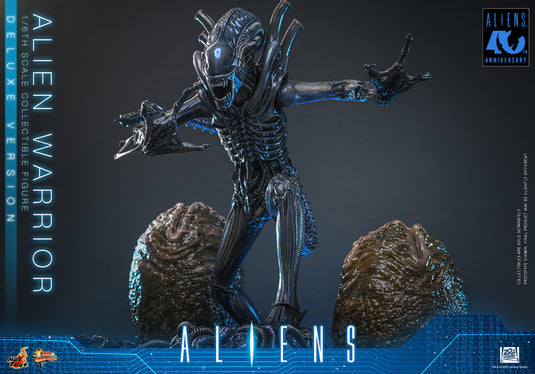 Hot Toys - Aliens (1996) - Alien Warrior (Deluxe Version) (MMS899)