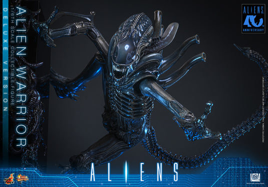 Hot Toys - Aliens (1996) - Alien Warrior (Deluxe Version) (MMS899)