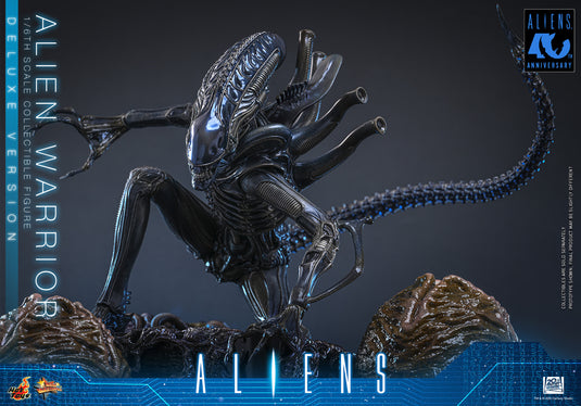 Hot Toys - Aliens (1996) - Alien Warrior (Deluxe Version) (MMS899)
