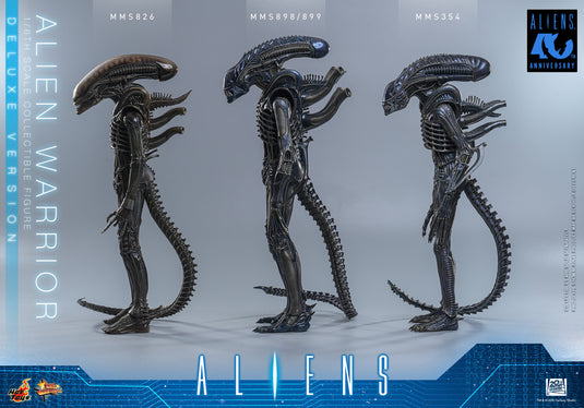 Hot Toys - Aliens (1996) - Alien Warrior (Deluxe Version) (MMS899)