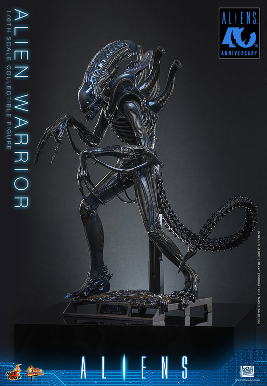 Hot Toys - Aliens (1996) - Alien Warrior (MMS898)