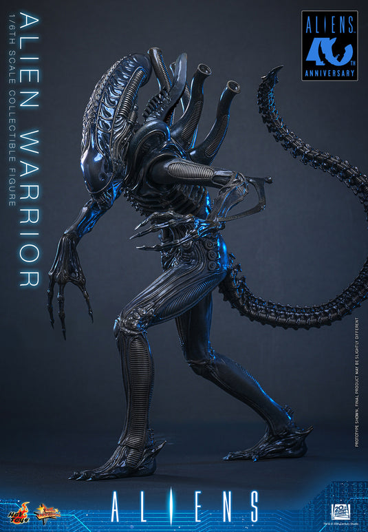 Hot Toys - Aliens (1996) - Alien Warrior (MMS898)