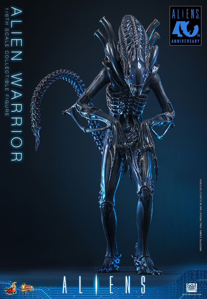 Load image into Gallery viewer, Hot Toys - Aliens (1996) - Alien Warrior (MMS898)
