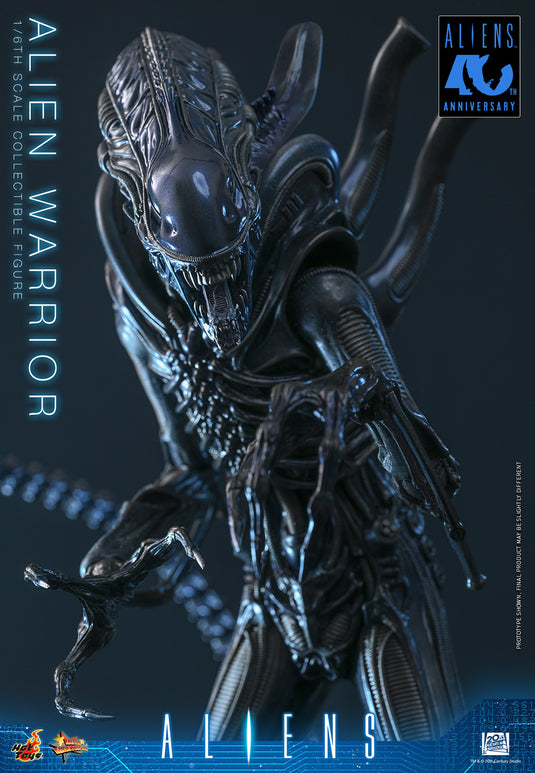 Hot Toys - Aliens (1996) - Alien Warrior (MMS898)