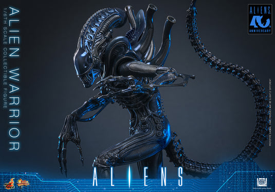 Hot Toys - Aliens (1996) - Alien Warrior (MMS898)