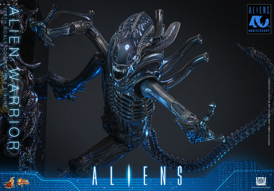 Hot Toys - Aliens (1996) - Alien Warrior (MMS898)