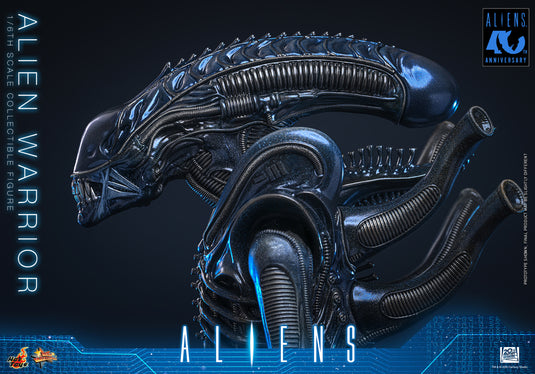 Hot Toys - Aliens (1996) - Alien Warrior (MMS898)