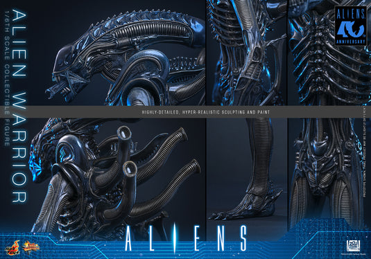 Hot Toys - Aliens (1996) - Alien Warrior (MMS898)