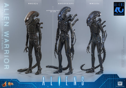 Hot Toys - Aliens (1996) - Alien Warrior (MMS898)