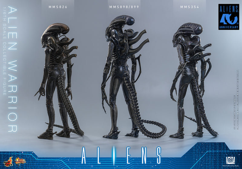 Load image into Gallery viewer, Hot Toys - Aliens (1996) - Alien Warrior (MMS898)
