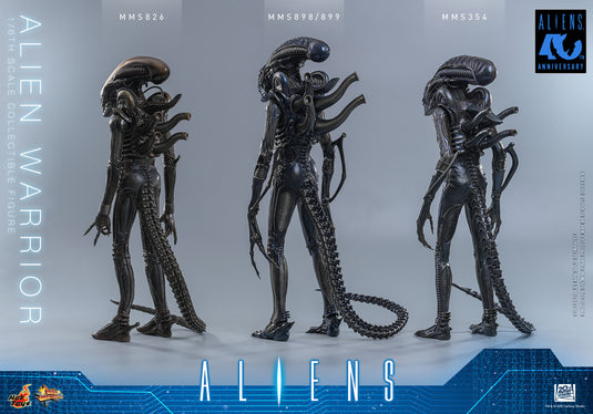 Hot Toys - Aliens (1996) - Alien Warrior (MMS898)
