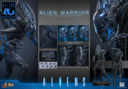 Hot Toys - Aliens (1996) - Alien Warrior (MMS898)