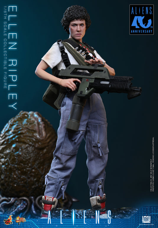 Hot Toys - Aliens (1986) - Ellen Ripley (MMS894)