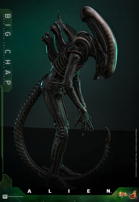 Hot Toys - Alien - Big Chap