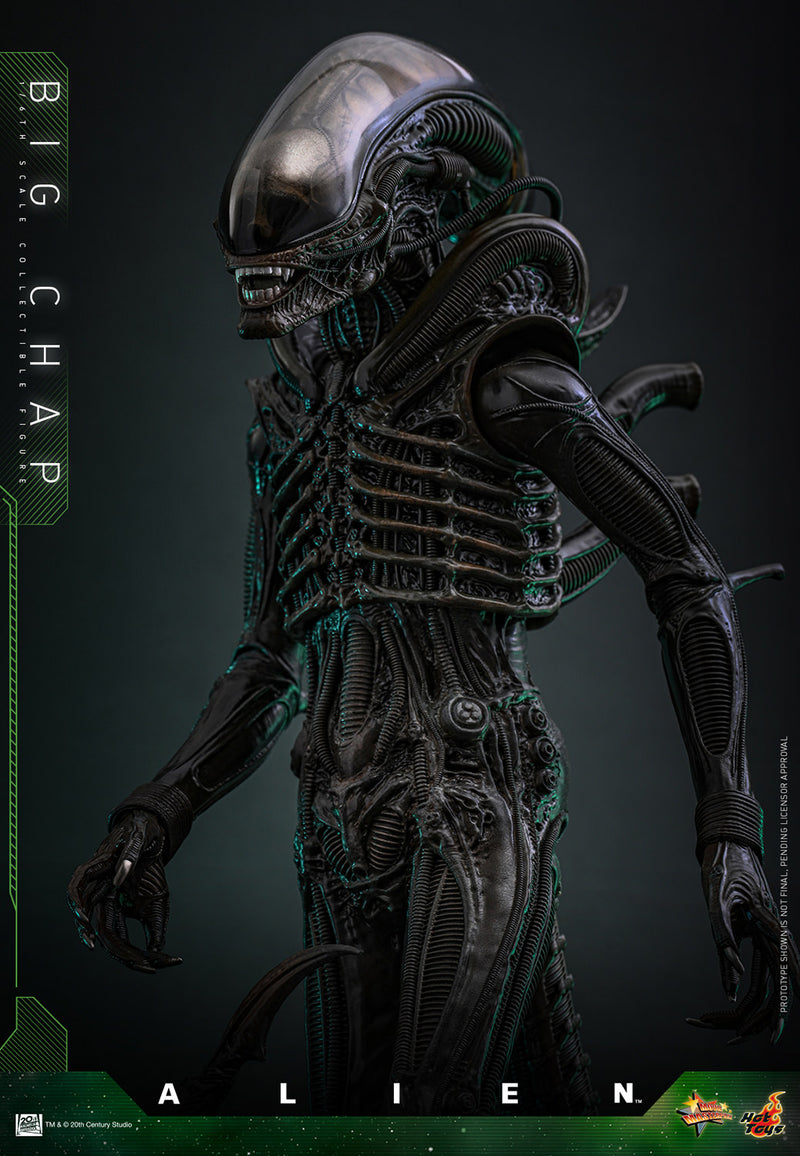 Load image into Gallery viewer, Hot Toys - Alien - Big Chap
