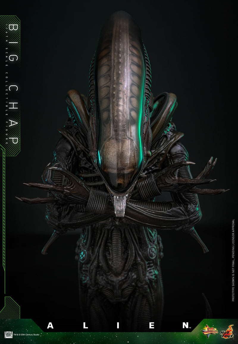Load image into Gallery viewer, Hot Toys - Alien - Big Chap
