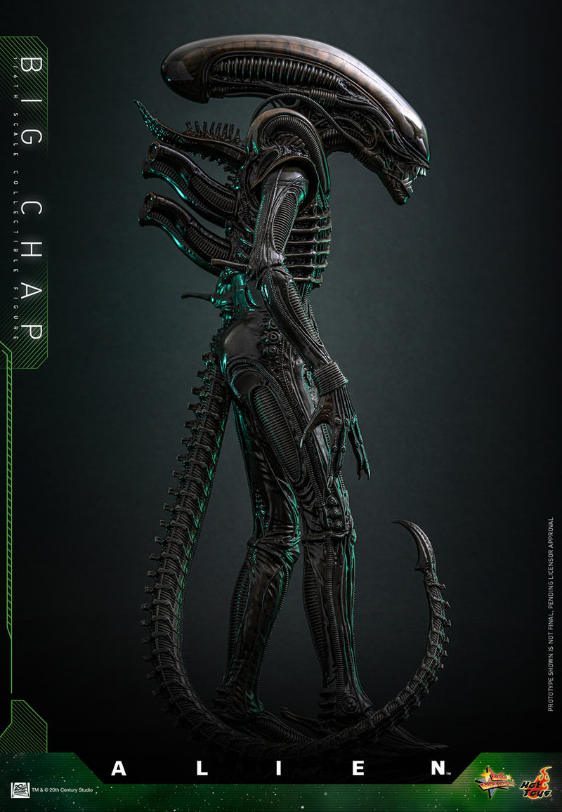 Load image into Gallery viewer, Hot Toys - Alien - Big Chap
