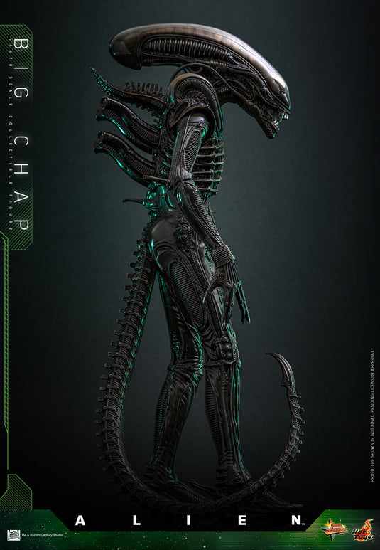 Hot Toys - Alien - Big Chap