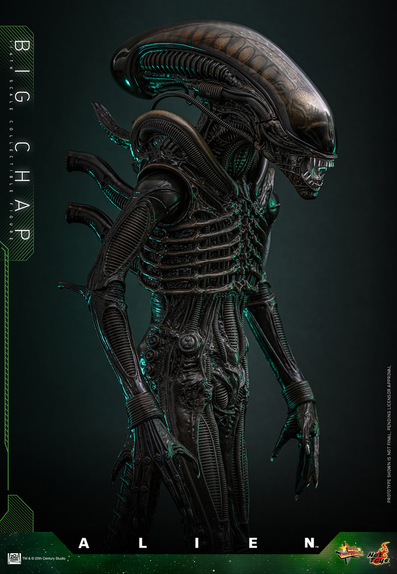 Load image into Gallery viewer, Hot Toys - Alien - Big Chap
