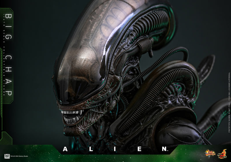 Load image into Gallery viewer, Hot Toys - Alien - Big Chap
