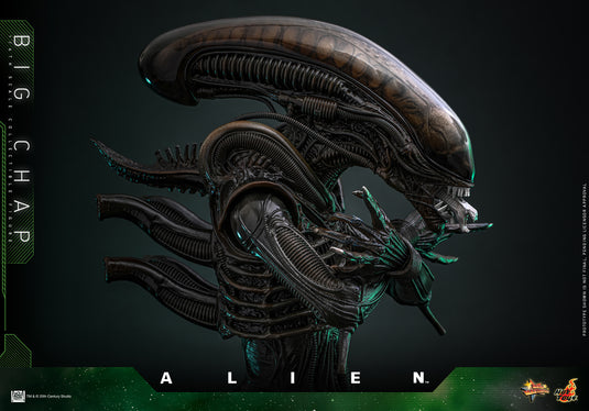 Hot Toys - Alien - Big Chap