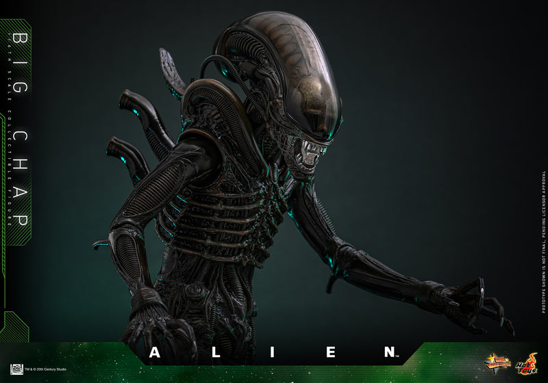 Load image into Gallery viewer, Hot Toys - Alien - Big Chap
