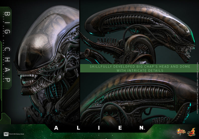 Load image into Gallery viewer, Hot Toys - Alien - Big Chap

