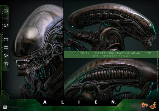 Hot Toys - Alien - Big Chap