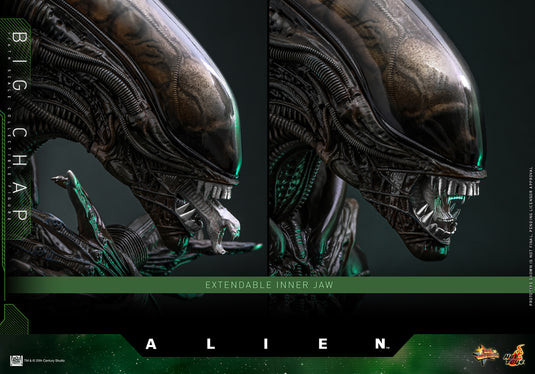 Hot Toys - Alien - Big Chap