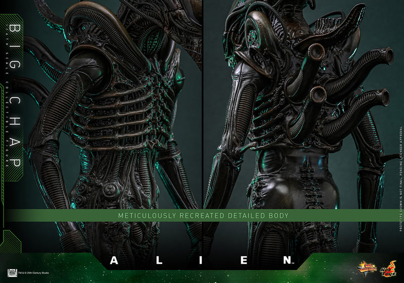 Load image into Gallery viewer, Hot Toys - Alien - Big Chap
