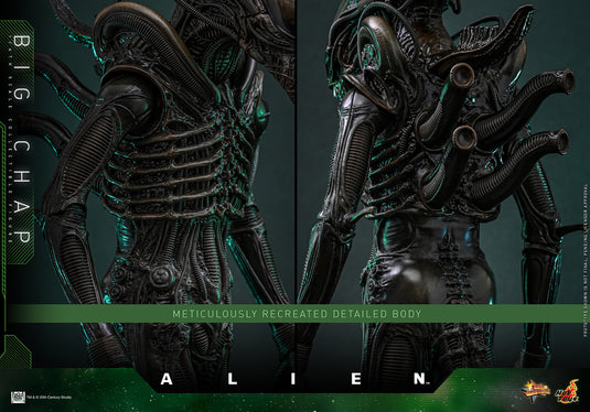 Hot Toys - Alien - Big Chap
