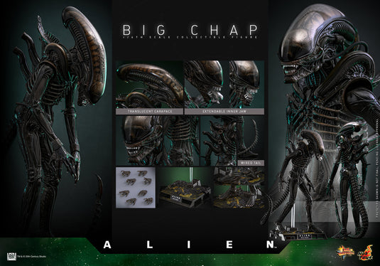 Hot Toys - Alien - Big Chap