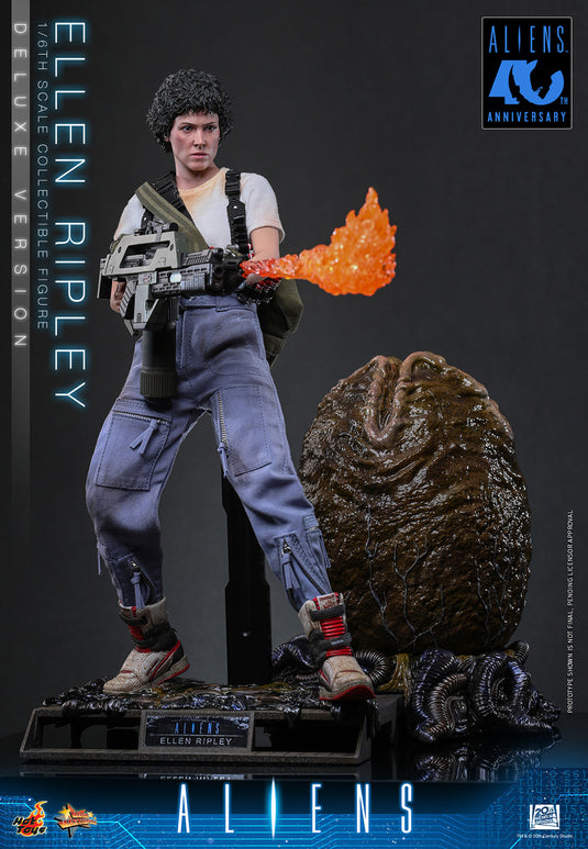 Hot Toys - Aliens (1986) - Ellen Ripley (Deluxe Version) (MMS895)