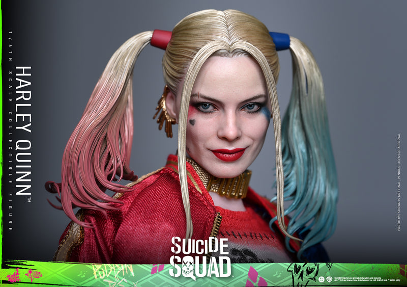 Load image into Gallery viewer, Hot Toys - Suicide Squad - Harley Quinn
